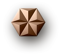 Account Icon